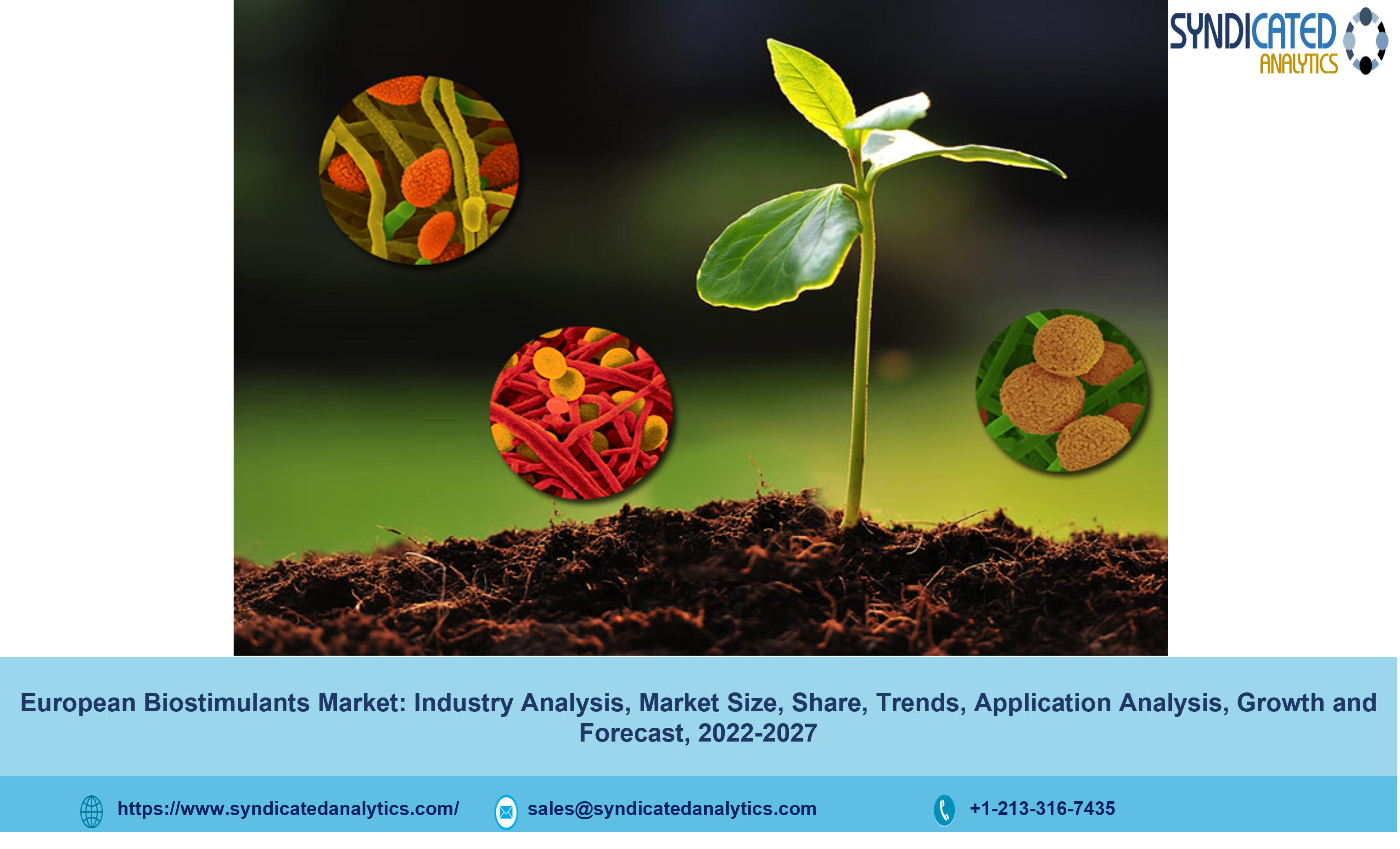 European Biostimulants Market