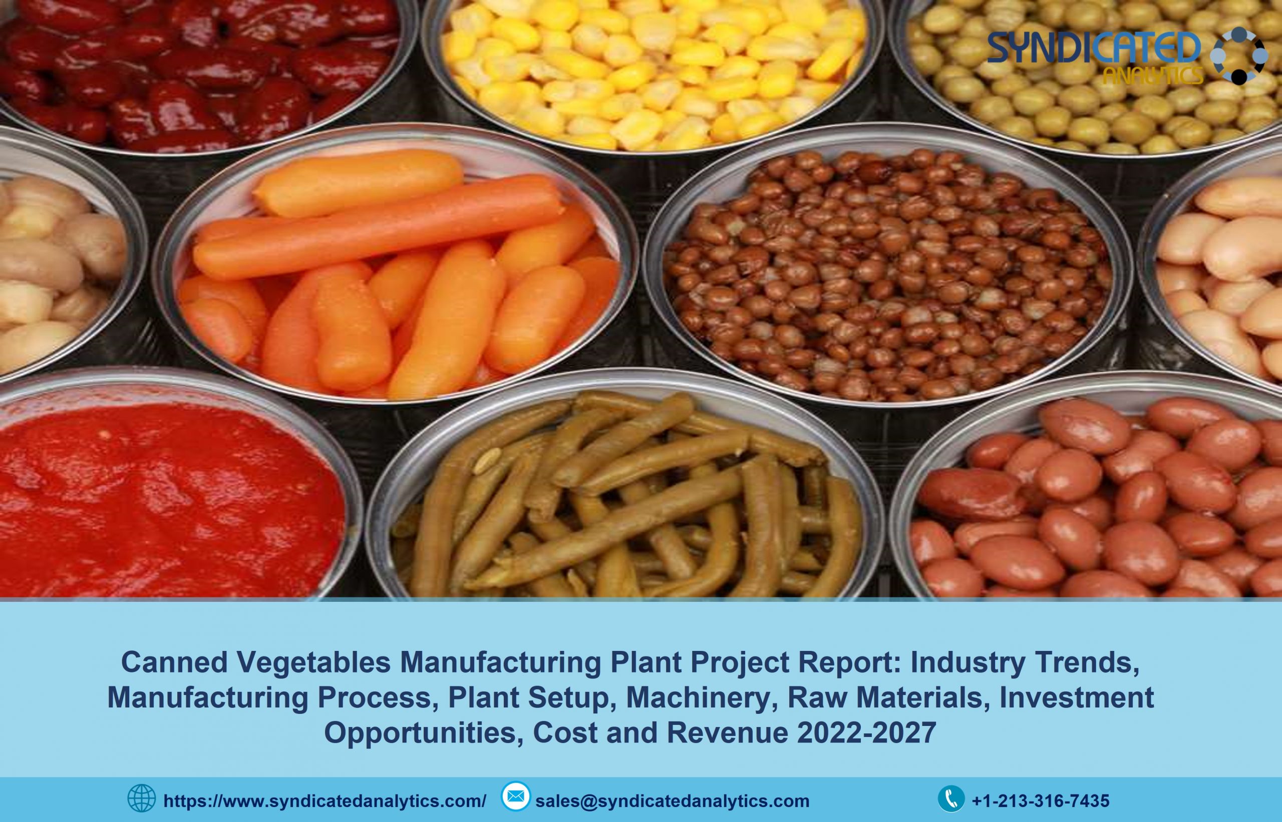 Canned Vegetable Manufacturing Plant