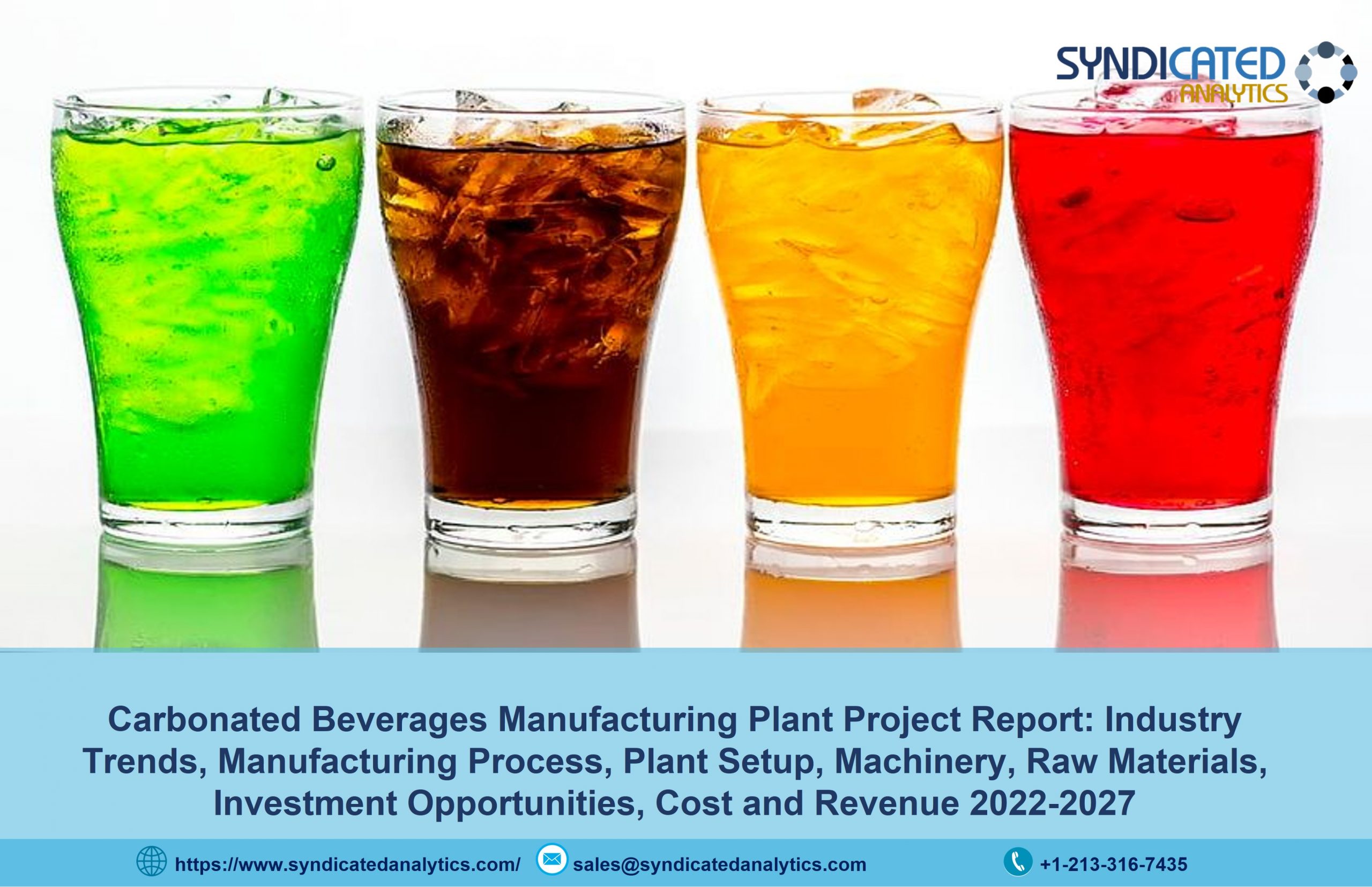 Carbonated Beverage Manufacturing Project Report